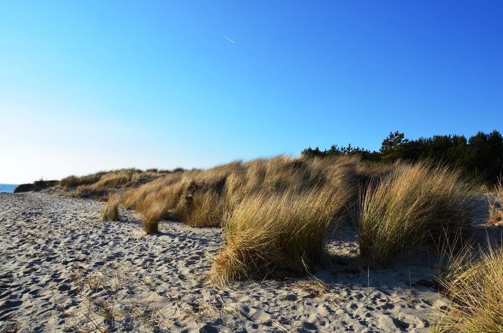 Strandapartment-Mondfisch an der Ostsee Thiessow Zimmer foto